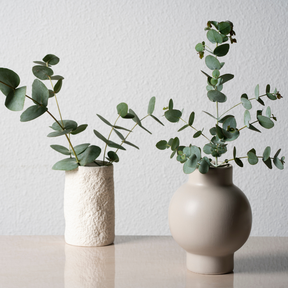 Collezione Habitat